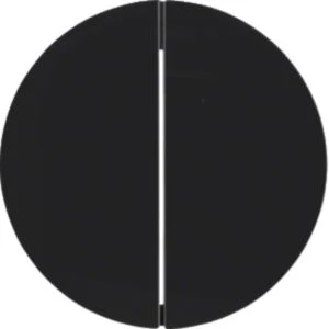 Tuimelschakelaar bussysteem Berker Berker R.1/R.3/R.8/Serie 1930/R.classic