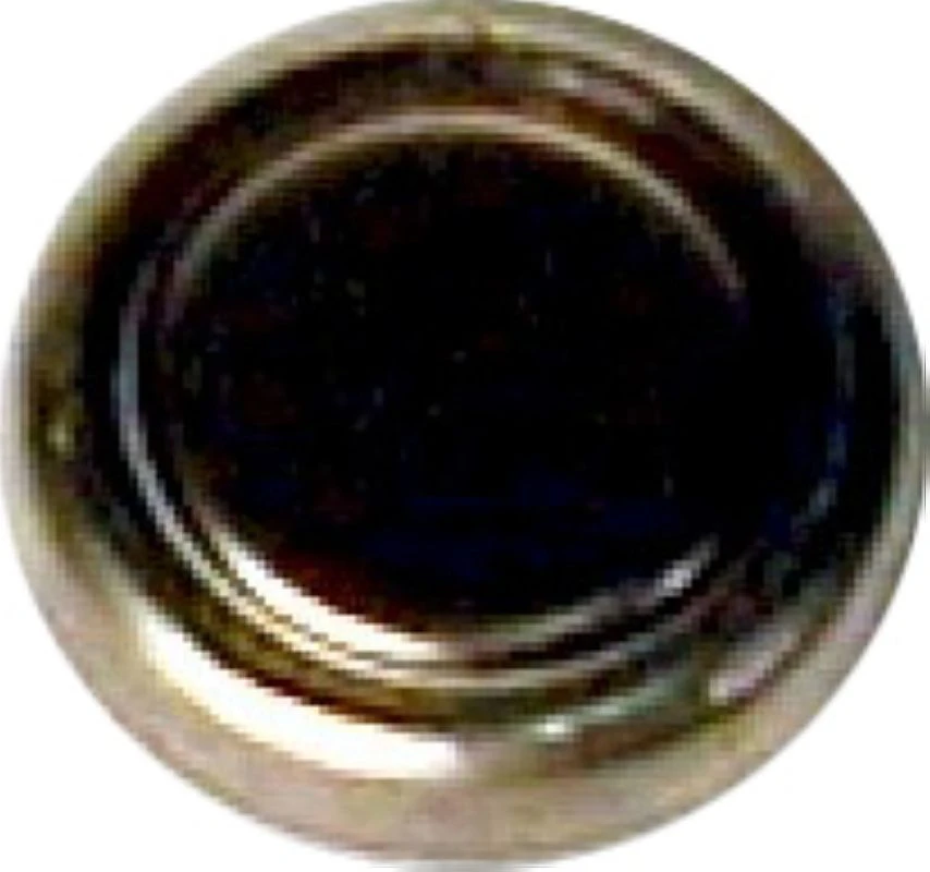 Pile standard (non rechargeable) Energizer