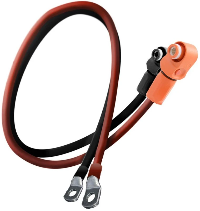 Toebehoren voor batterij/accu/lader LIONTRON