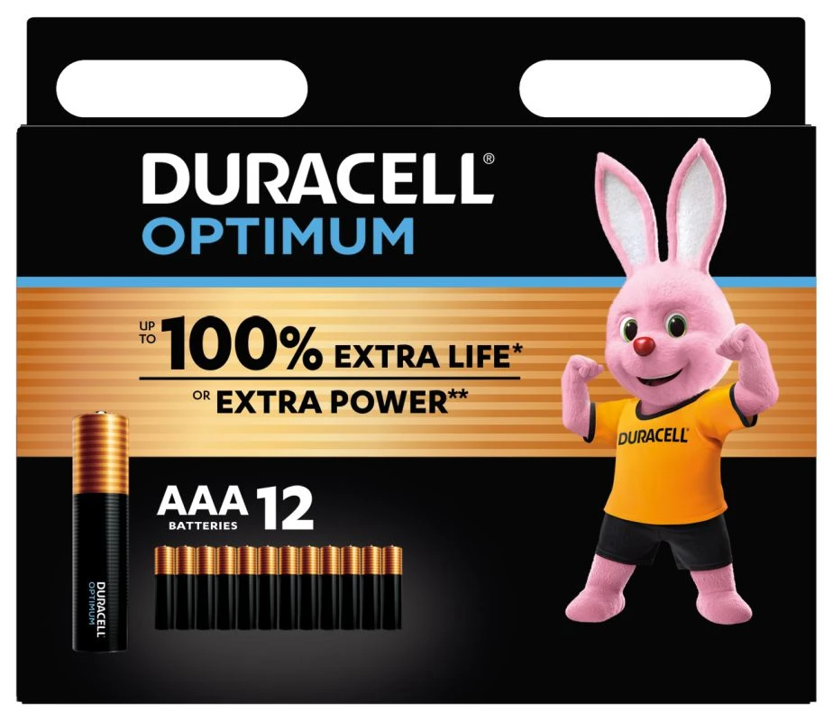 Standard battery (not rechargeable) Duracell