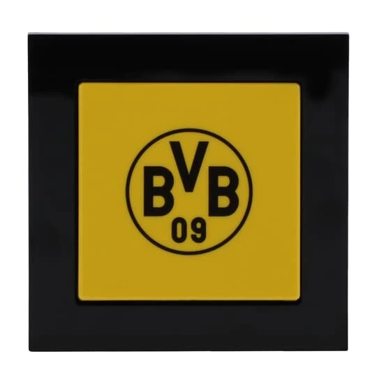 Appareillage domestique Busch-Jaeger Busch-axcent®