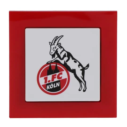 Appareillage domestique Busch-Jaeger Busch-axcent®