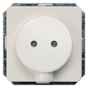 Insert/cover for communication technology Siemens DELTA 5TG1