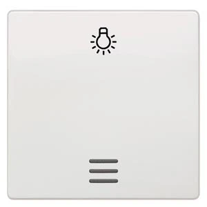 Afdekplaat voor schakelaar, drukknop, dimmer Siemens DELTA 5TG6