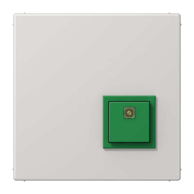 Handicapped person element for domestic switching devices JUNG Serie LS