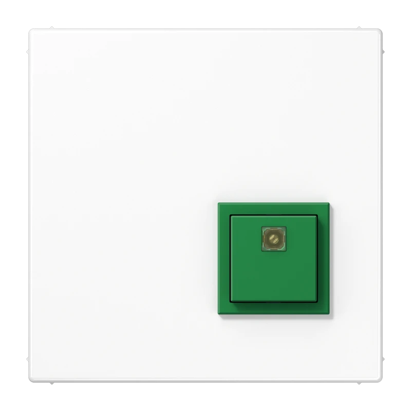 Handicapped person element for domestic switching devices JUNG Serie LS