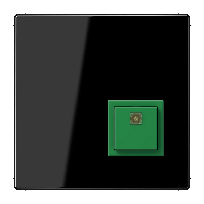 Handicapped person element for domestic switching devices JUNG Serie LS
