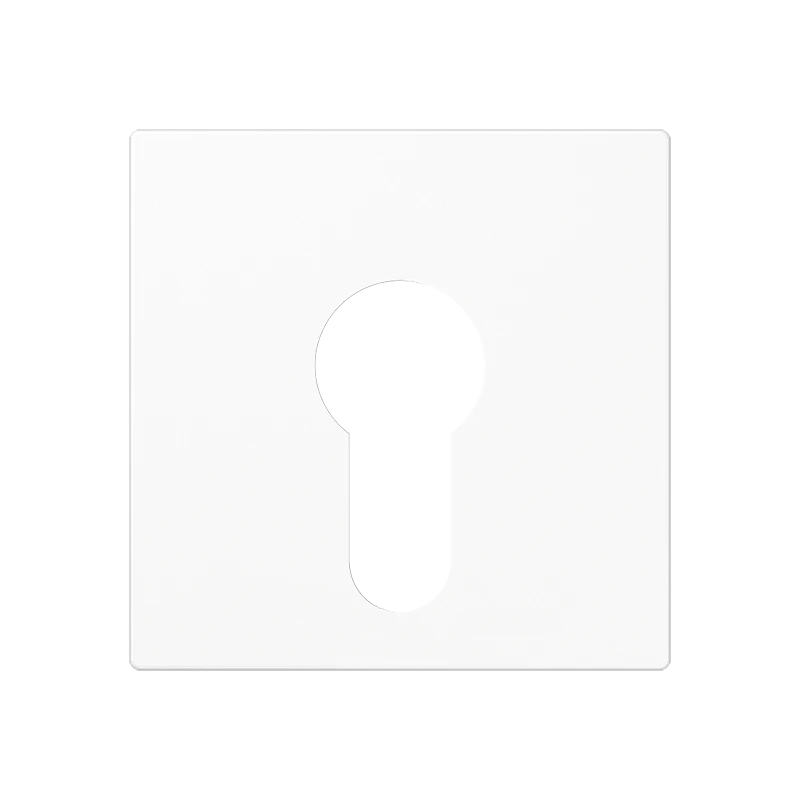 Afdekplaat voor schakelaar, drukknop, dimmer JUNG Serie AS/A