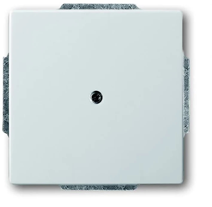 Control element/cover plate for domestic switching devices ABB Busch-Jaeger pure stainless steel