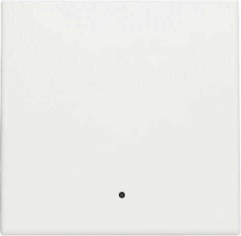 Control element/cover plate for domestic switching devices Niko Home Automation