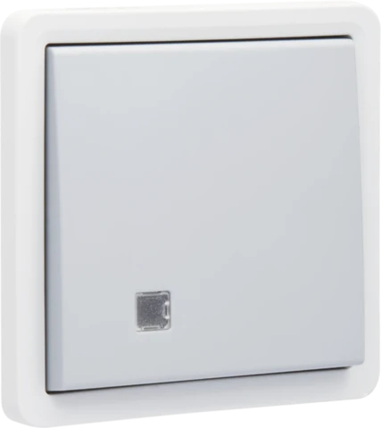 Appareillage domestique Niko Switches & Sockets