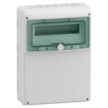 Coffret de distribution Schneider Electric Mureva Enclosure