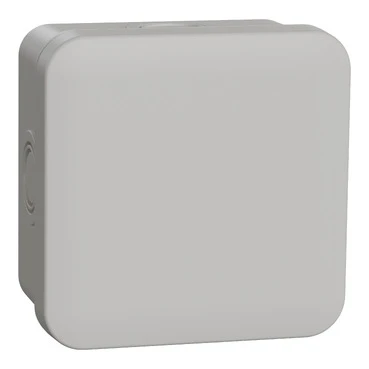 Doos voor montage op de wand/plafond Schneider Electric Mureva surface mounted boxes