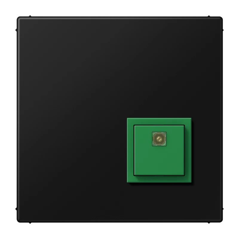 Handicapped person element for domestic switching devices Jung LS range