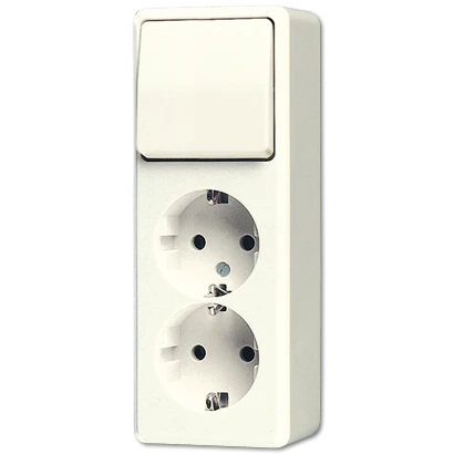 Schakelaar/wandcontactdoos combinatie Jung AP 600
