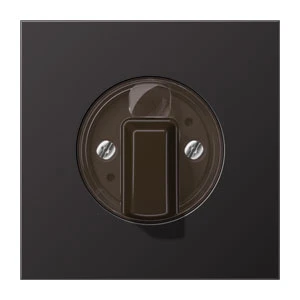 Cache / organe de commande pour installation domotique Jung LS range