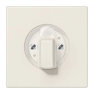 Control element/cover plate for domestic switching devices Jung LS range