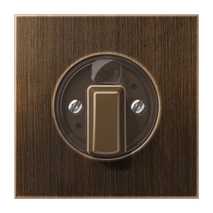 Control element/cover plate for domestic switching devices Jung LS range