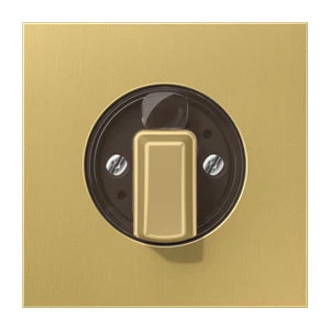 Cache / organe de commande pour installation domotique Jung LS range