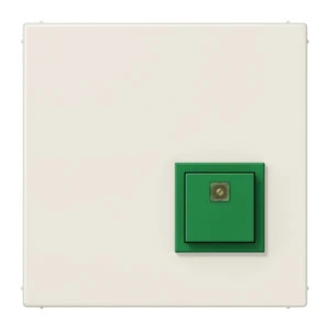 Handicapped person element for domestic switching devices Jung LS range