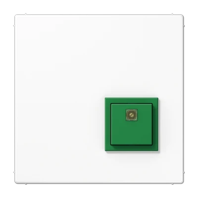Handicapped person element for domestic switching devices Jung LS range