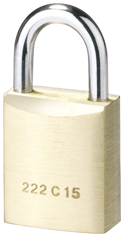 Locking device for switches Siemens AG