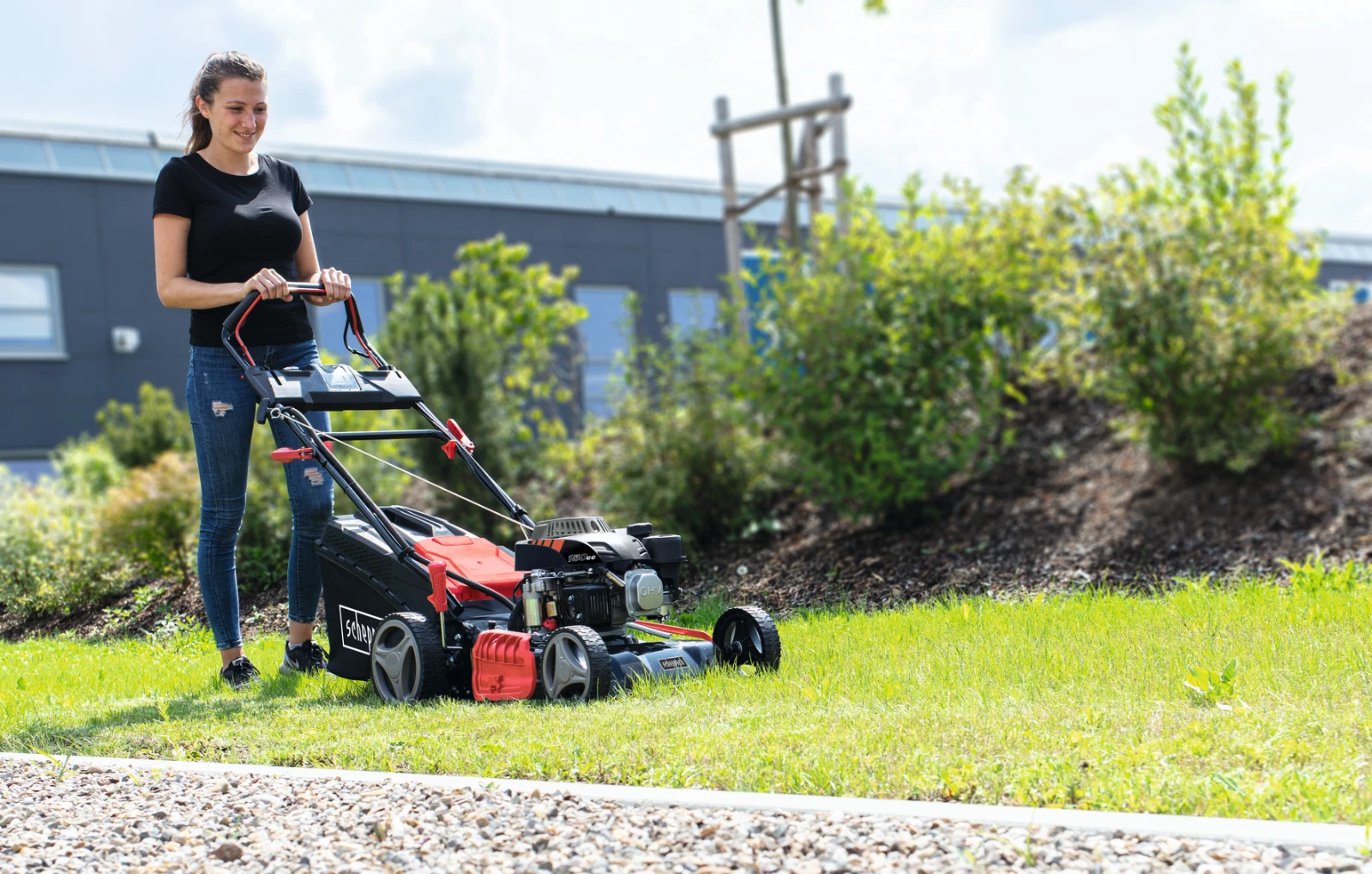 Mower (combustion engine) Scheppach