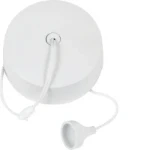 White 6A Ceiling Switch: 2 Way