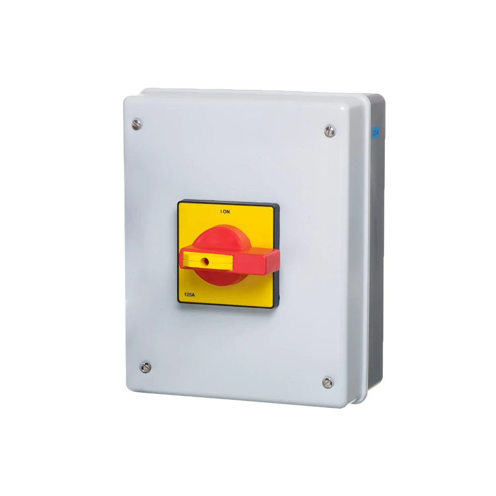 Metal Clad Switch Disconnector 125A 4P 