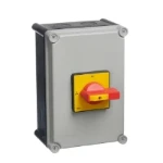 Europa 6 Pole Enclosed Switch-Disconnectors (IP65) 32A 6 Pole (Insulated Enclosure)