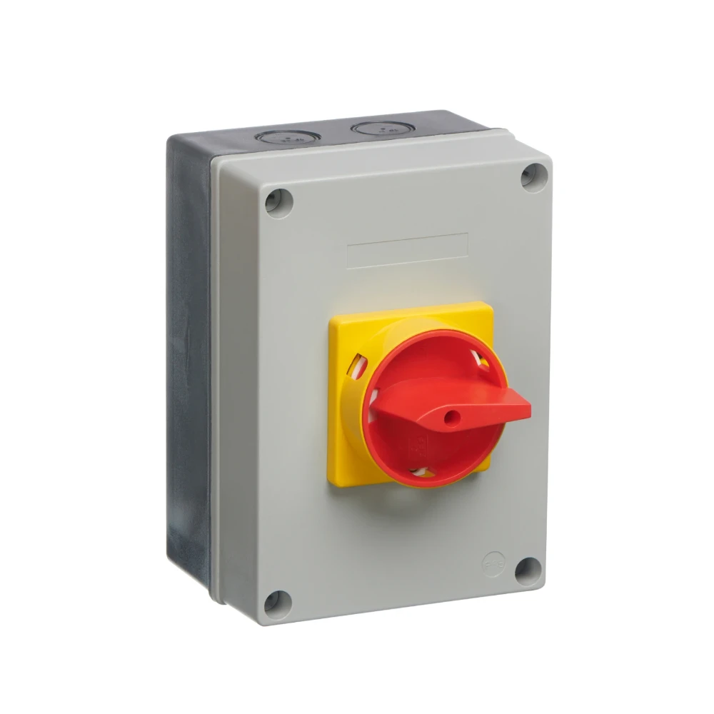 Enclosed Isolator 63A 4 Pole IP65