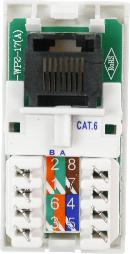 RJ45 Cat-6 Module White