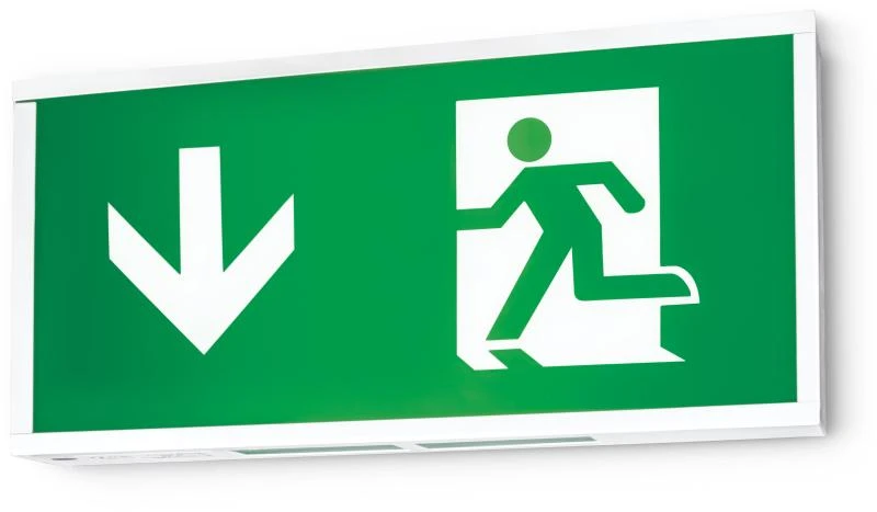 Exit Box Maintained 3M IP20 191X395mm 1800mAh including 1pcs Legend