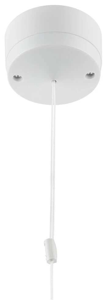 BG Ceiling Switch 6A, 2-Way