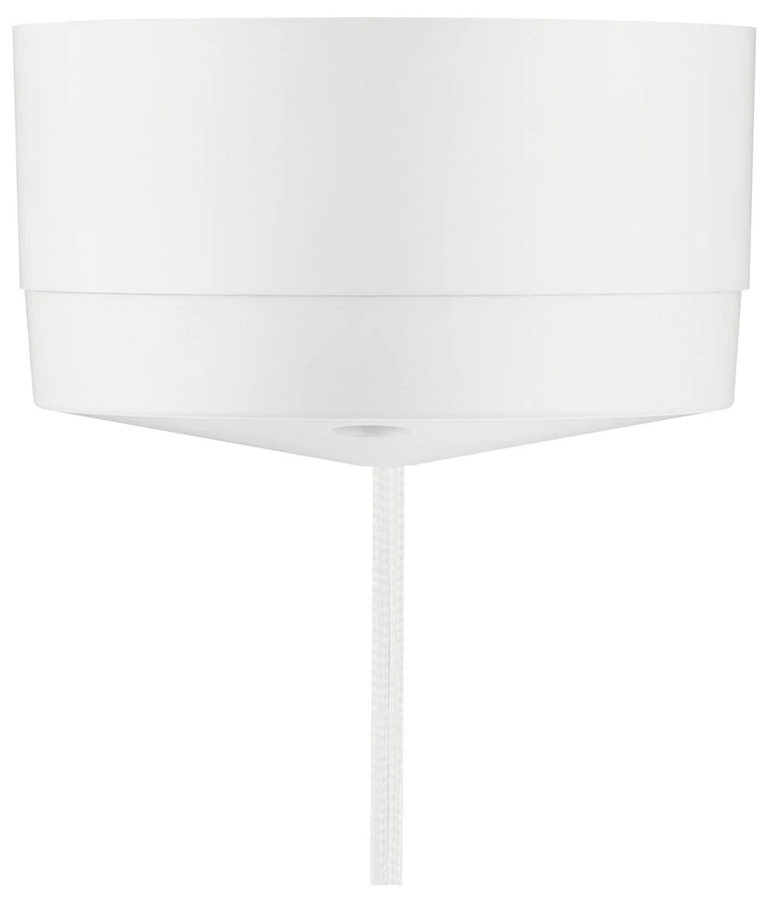 BG Ceiling Switch 6A, 2-Way