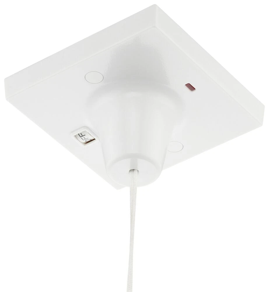BG Ceiling Switch, 50A, Double Pole with Indicator