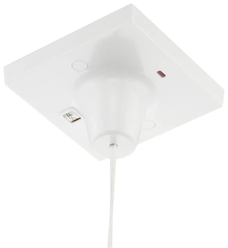 BG Ceiling Switch, 50A, Double Pole with Indicator