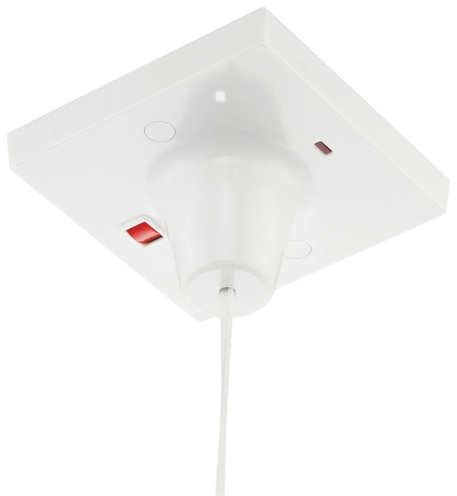 BG Ceiling Switch, 50A, Double Pole with Indicator