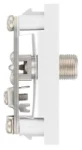 BG Euro Module Satellite, Female, White