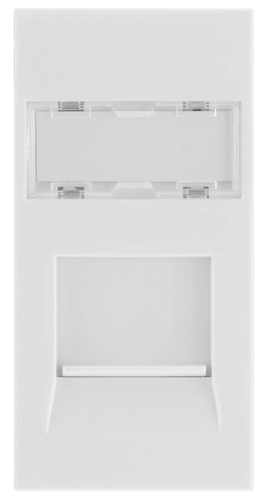 BG Euro Module RJ45, CAT6, IDC, White