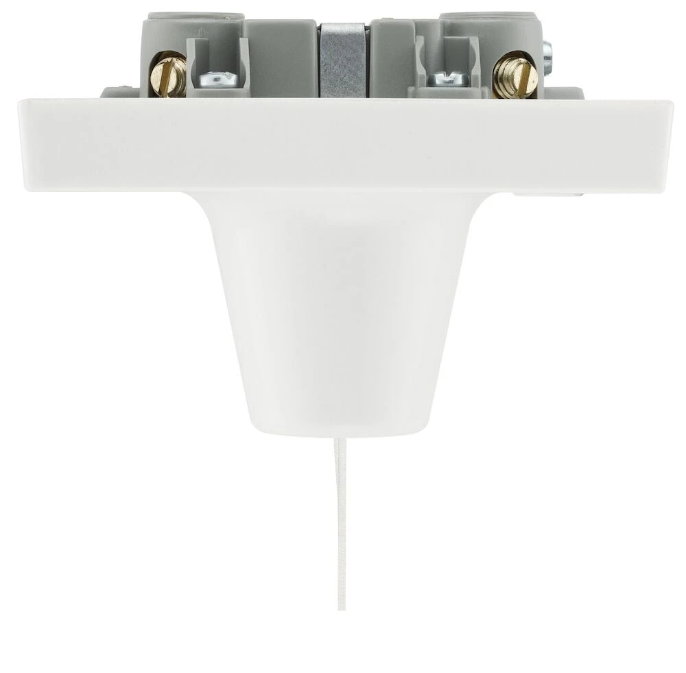 BG Ceiling Switch, 50A, Double Pole with Indicator