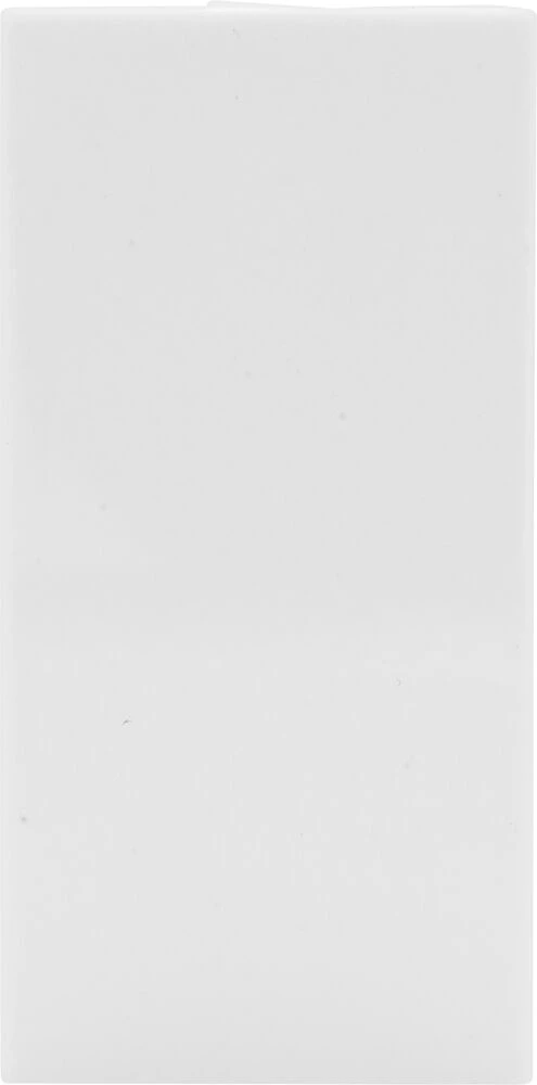 BG Euro Module Blank Module, White