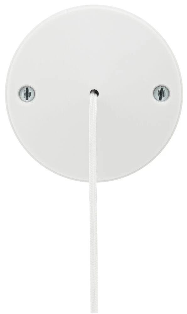 BG Ceiling Switch 6A, 2-Way