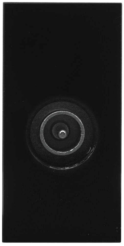 BG Euro Module IEC, Screened, Male, Black