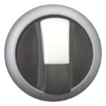 Moeller Selector switch, RMQ-Titan, With thumb-grip, maintained, 2 positions, Bezel: titanium