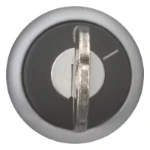 Moeller Key-operated actuator, maintained, 2 positions, Key withdrawable: 0, I, Bezel: titanium