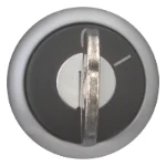 Moeller Key-operated actuator, maintained, 2 positions, Key withdrawable: 0, I, Bezel: titanium