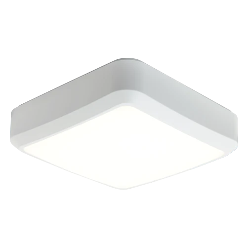 Astro CCT 1 White
