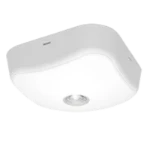 Ansell Falcon Surface Emergency Downlight IP65 Non-Maintained White