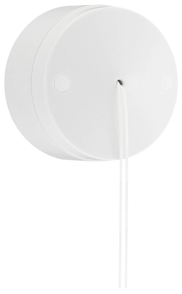 BG Ceiling Switch 6A, 2-Way